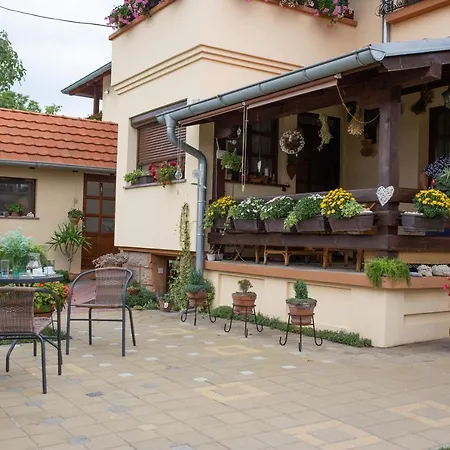 Appartamento Seosko Turisticko Domacinstvo Kajsija Čačak Esterno foto