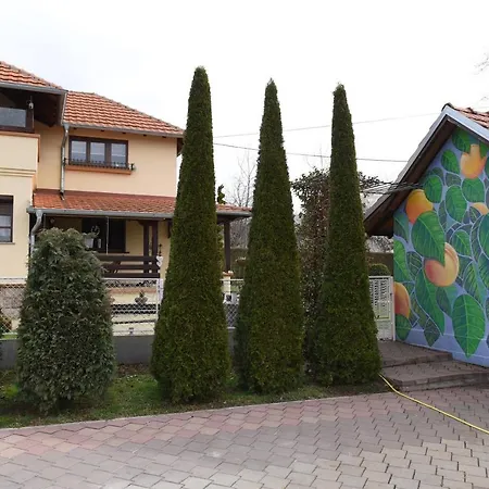 Appartamento Seosko Turisticko Domacinstvo Kajsija Čačak Esterno foto