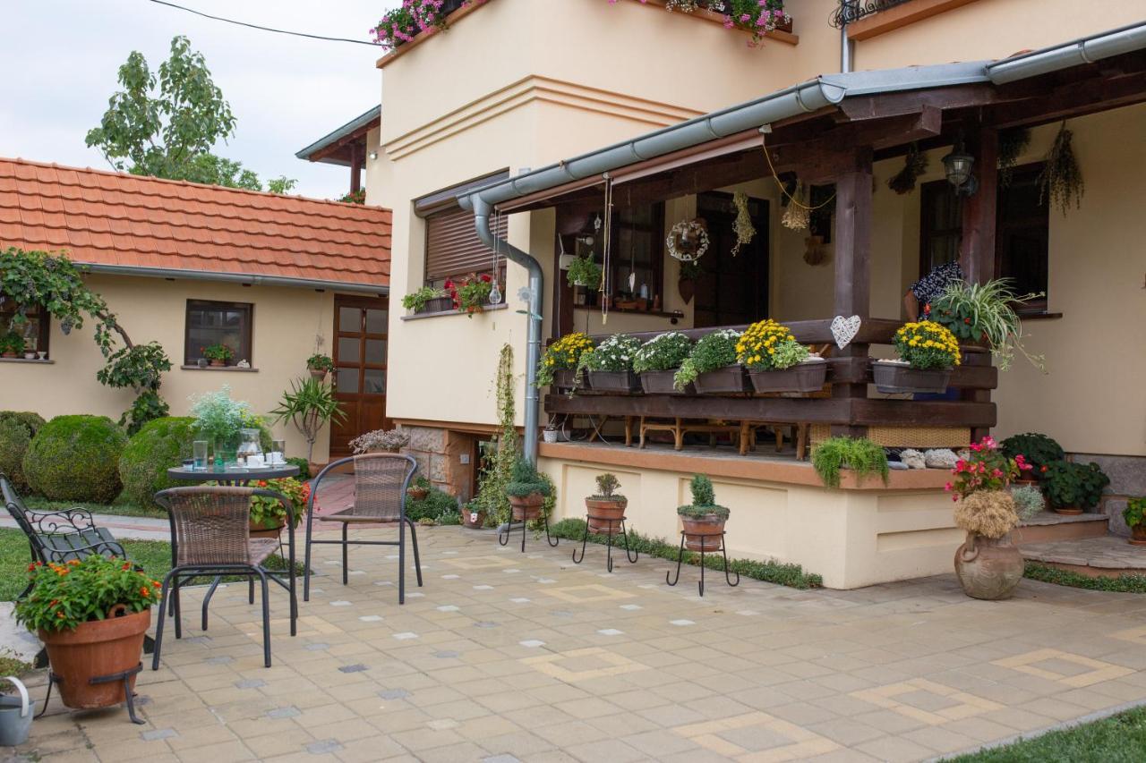 Seosko Turisticko Domacinstvo Kajsija Apartment Cacak