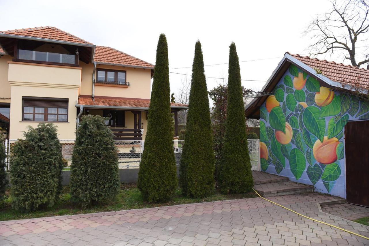 Seosko Turisticko Domacinstvo Kajsija Cacak